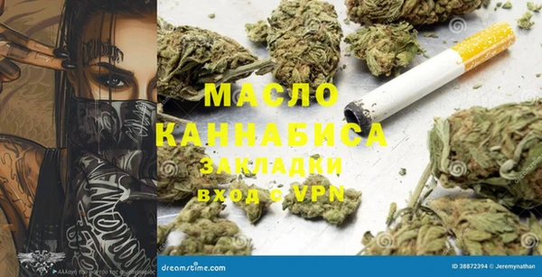 стаф Алзамай