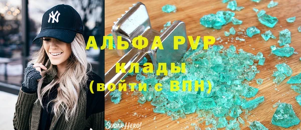 стаф Алзамай