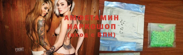 стаф Алзамай