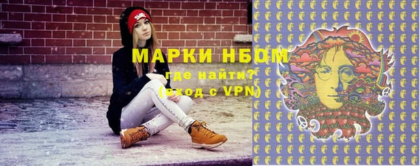 стаф Алзамай