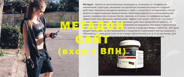 стаф Алзамай