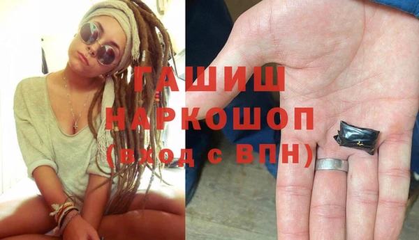 стаф Алзамай