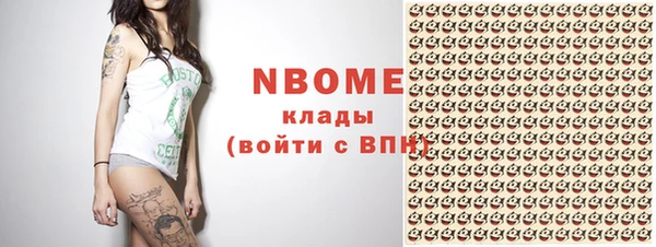 стаф Алзамай