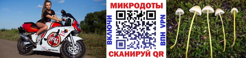 Галлюциногенные грибы Psilocybine cubensis  магазин  наркотиков  Лахденпохья 